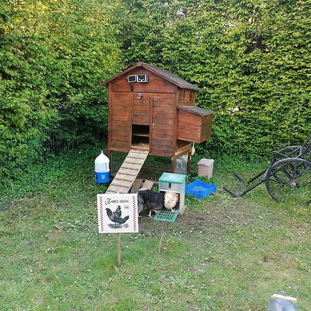 Chambre De L'Oree Du Bois Audeux Exteriör bild