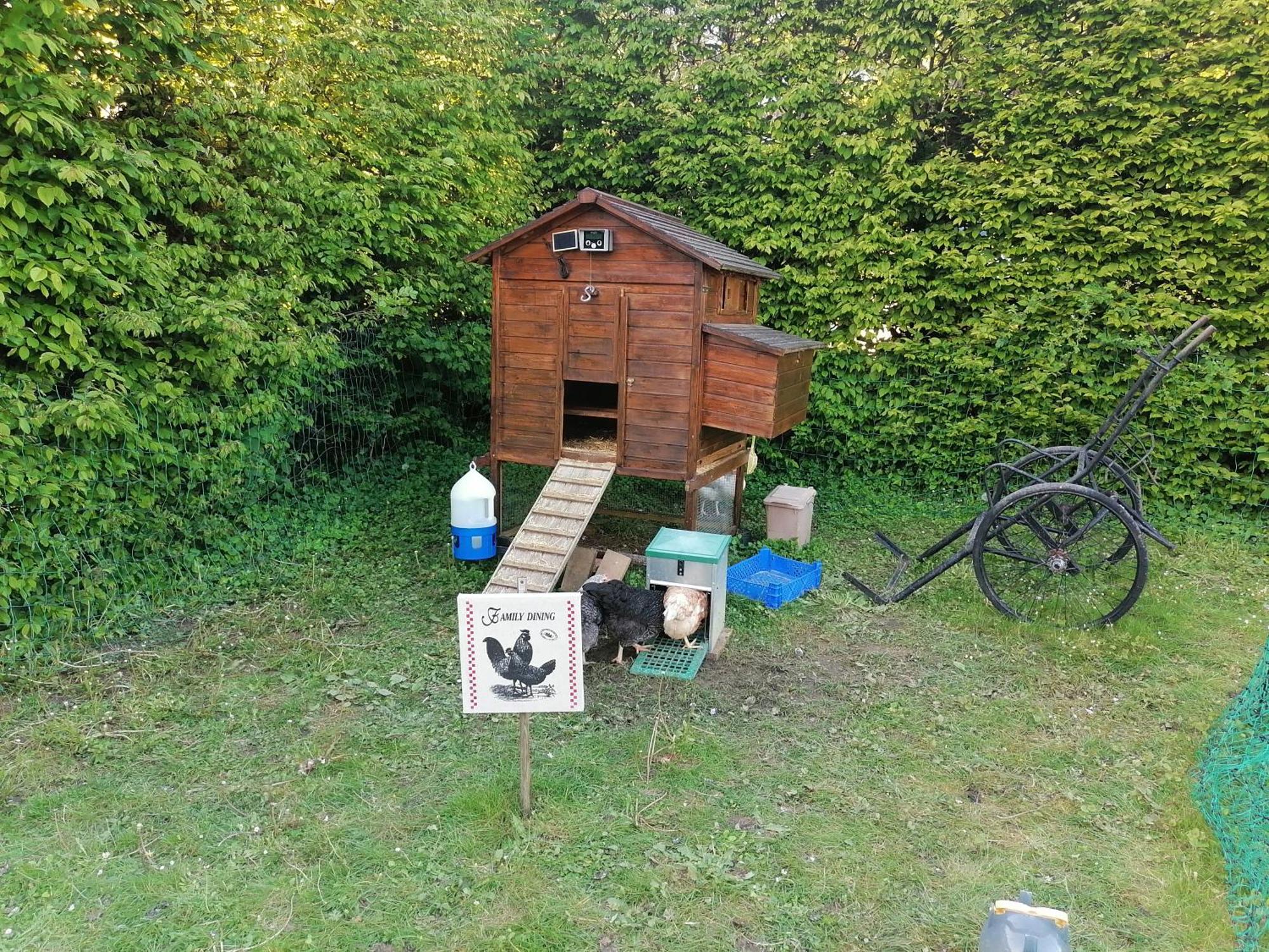 Chambre De L'Oree Du Bois Audeux Exteriör bild